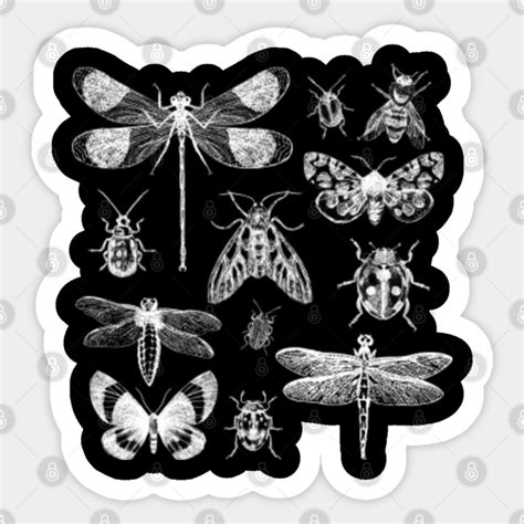 Vintage Aesthetic Entomology Bugs Collection Entomology Sticker