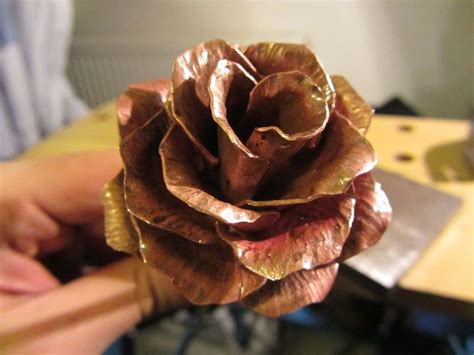 Copper Rose An Everlasting Flower Everlasting Flowers Copper Rose