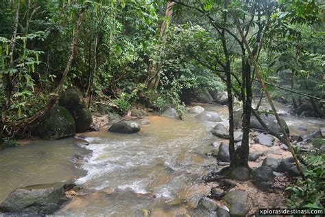 Hutan rekreasi sungai tekala | vlog³. Taman Negeri Selangor - Makan tengahari dan main air ...