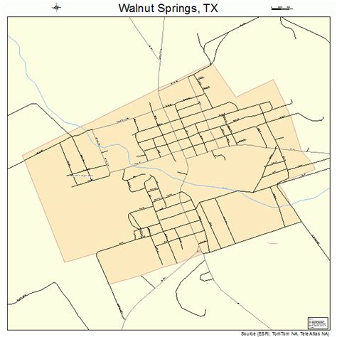 Walnut Springs Texas Street Map 4876348