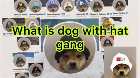 What Is Dog With Hat Gang Youtube