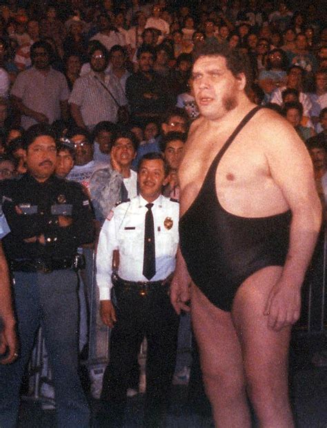 The History Of Andre The Giant In Wwf Bo The Wrestling Elite