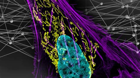 Dna Mutations Do Not Occur Randomly Discovery Transforms Our View Of