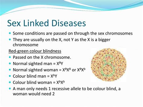 Ppt Sex Linkage Powerpoint Presentation Free Download Id6782341