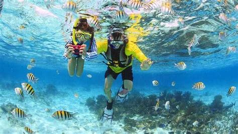 25 Best Snorkeling Spots In Grand Cayman 2022 All You Need To Know