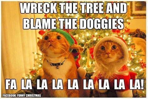 Caroling Cats Christmas Animals Christmas Cats Christmas Humor