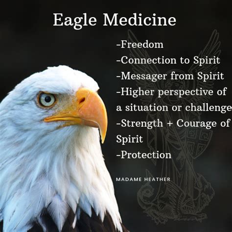 Eagle Spirit Animal Spirit Animal Meaning Eagle Spirit Animal