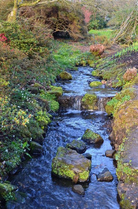 Woodland Stream With Waterfall Stock Photo Image 39070167