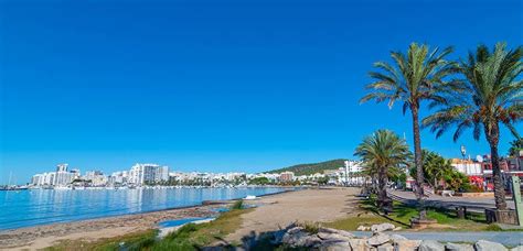 Tired of dead bugs and fallen leaves stuck to your windshield? Es Arenal de San Antonio | Discover Ibiza
