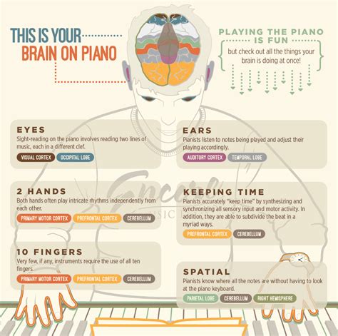 4 Ways Learning Piano Benefits Your Brain