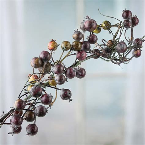 The berries are nontoxic to people and animals, and some people even use them to make jelly and other foods. Purple and Green Artificial Berry Stem - Stems + Branches ...