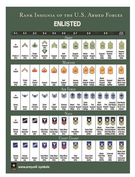 Rank Insignia Of The Us Armed Forces Poster Army Ts Etsy