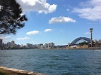 East Balmain, NSW Sydney Harbour Bridge, Outback, Balmain, Fauna ...