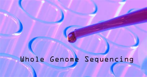 Whole Genome Sequencing Shows New Way For Faster Diagnosis Of Rare