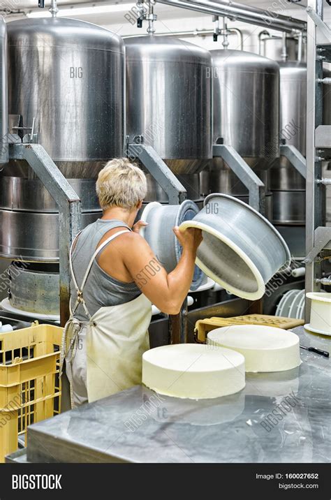Cheese Maker Putting Image And Photo Free Trial Bigstock