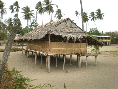 Papua New Guinea Traditional Housing
