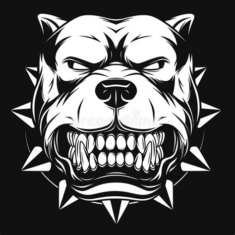 Angry Dog Vector Illustration Angry Pitbull Mascot Head On A White