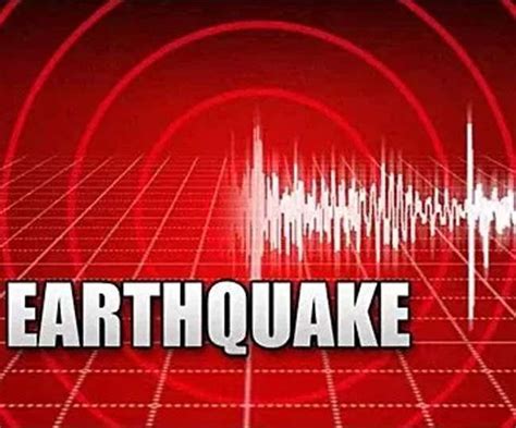 How is earthquake magnitude measured? Earthquake measuring 3.9 on Richter scale hits Uttarakhand's Haridwar
