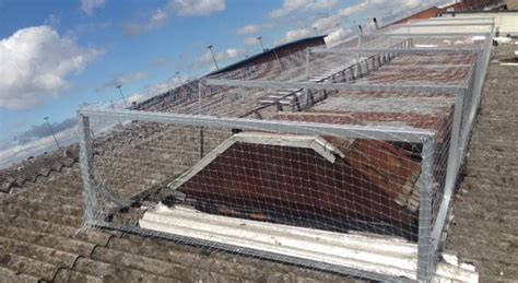 Pigeon Netting Installation In Birmingham Coverclad Services