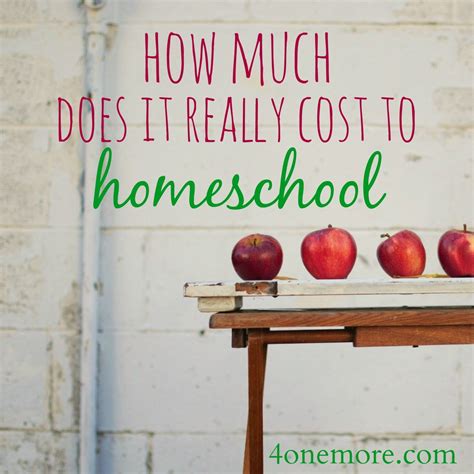 How Much Does It Really Cost To Homeschool Homeschool Crafts