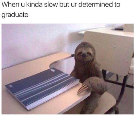 34 Memes About University That Are Hilarious Because Theyre True