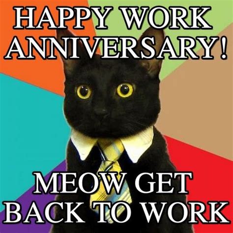 20 Happy Work Anniversary Cat Meme 2022