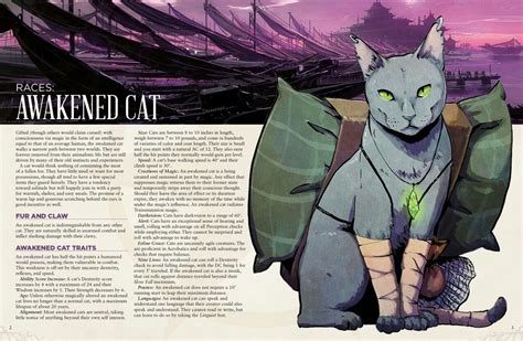 Awakened Cat Via Godsfalldc Dungeons And Dragons Homebrew Dnd