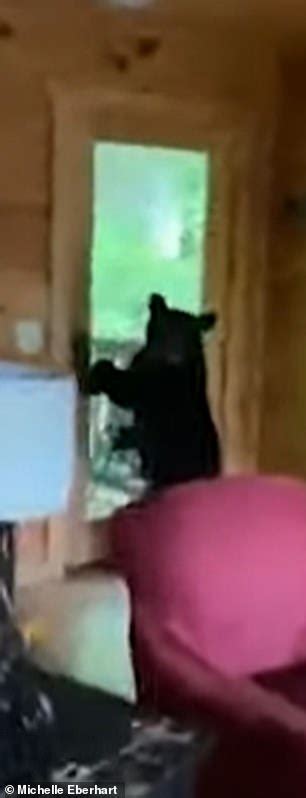 Maybe you would like to learn more about one of these? Bear who ransacked couples kitchen after breaking into ...