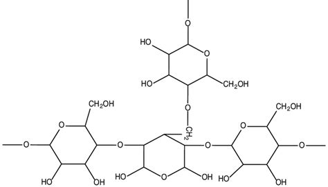 2 Highly Branched Amylopectin Download Scientific Diagram