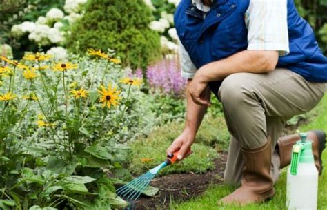 Professional Physical Therapy Ways To Avoid Injuries While Gardening