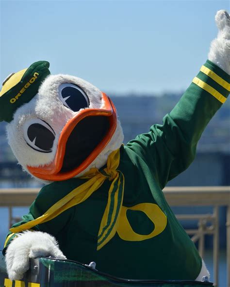 Best Mascot Ever The Oregon Duck Oregon Ducks Oregon Ducks Logo