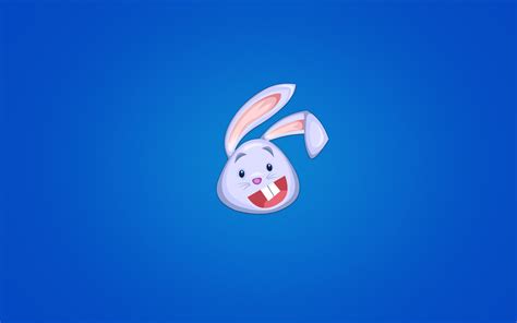 Rabbit Rabbits Funny Humor Wallpapers Hd Desktop And