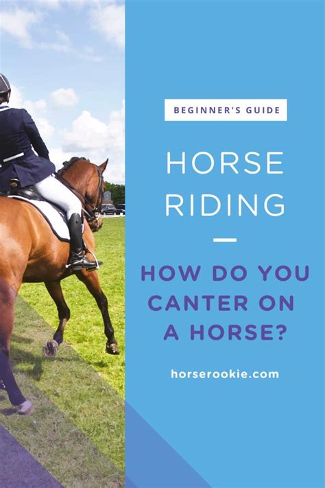 This way you won't stress yourself out, and you will be able to handle all the situations that the. How to ride a horse for beginners (basics, safety ...