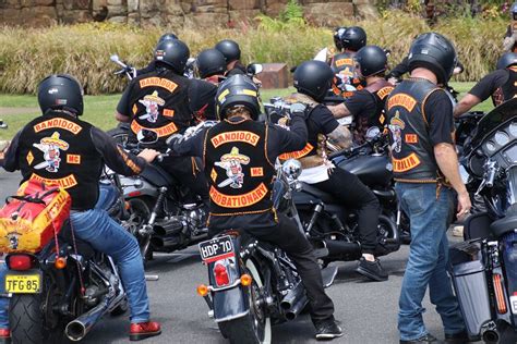 See more of bandidos gang on facebook. Les Pays-Bas interdisent le gang de bikers Bandidos | Loop ...