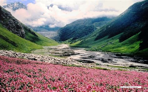 We don't have any reviews for valley of flowers. Valley of Flowers Trekking Paradise