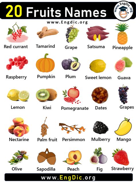 20 Fruits Names List In English Engdic