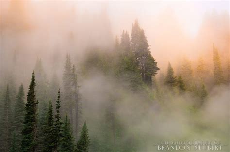 Mountain Mist The Photography Of Brandon Neubert