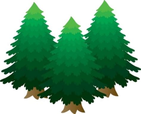 Free Cartoon Pine Trees Download Free Cartoon Pine Trees Png Images