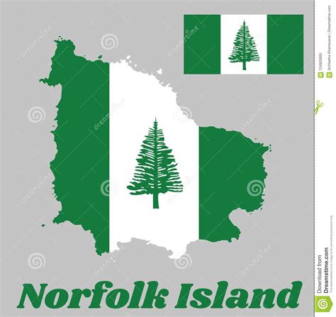 Esquema Del Mapa Y Bandera De Norfolk Pino De Isla De Norfolk En Una