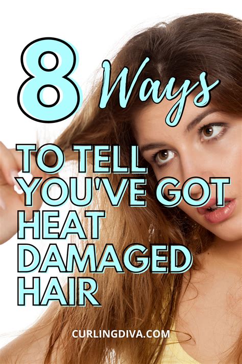We did not find results for: 8 Ways To Tell You've Got Heat Damaged Hair | Heat damaged ...