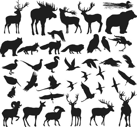 Animals Shapes Silhouettes Vectors Eps Free Vector Download