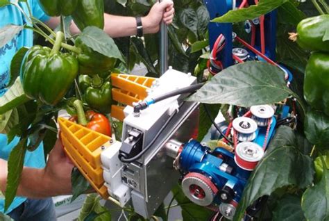 Crops Clever Robots For Crops Wur