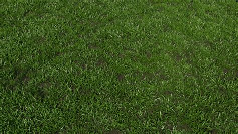 Grass Plant 3d Model Realtime 3d Models World