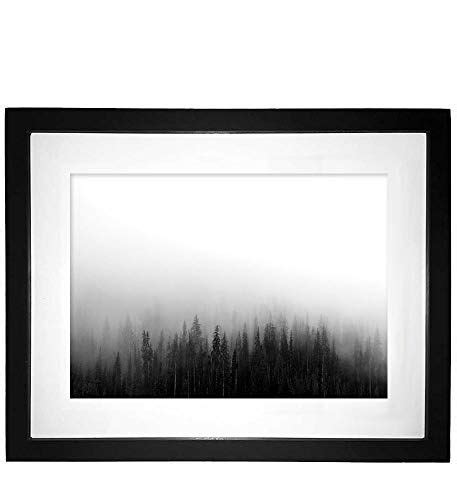 A Black And White Photo With Trees In The Background Framed On A Wall