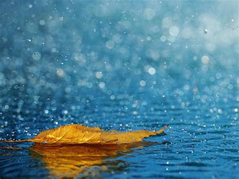 46 Live Rain Wallpaper On Wallpapersafari