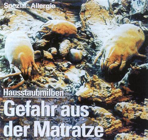 Keine chance für milben in ihrer matratze, ihrer bettdecke, kissen und anderen polstermöbeln. Milben - BIG POWER Schweiz