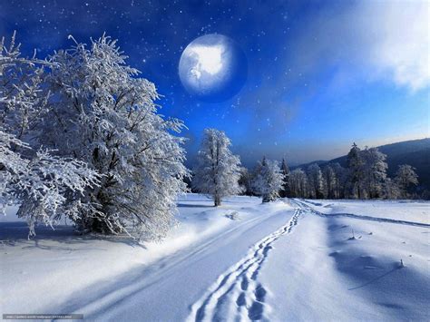 Descarca Imagini De Fundal Iarnă Zăpadă Natură Imagini
