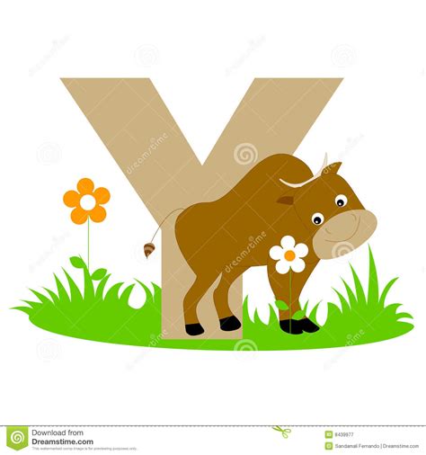 Animal alphabet Y stock vector. Illustration of farm, alphabet - 8439977