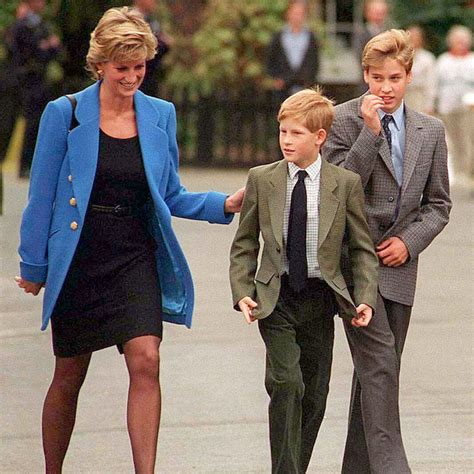 You know, he's 7 years old and he's asking me. All the ways Princes William and Harry are carrying on ...