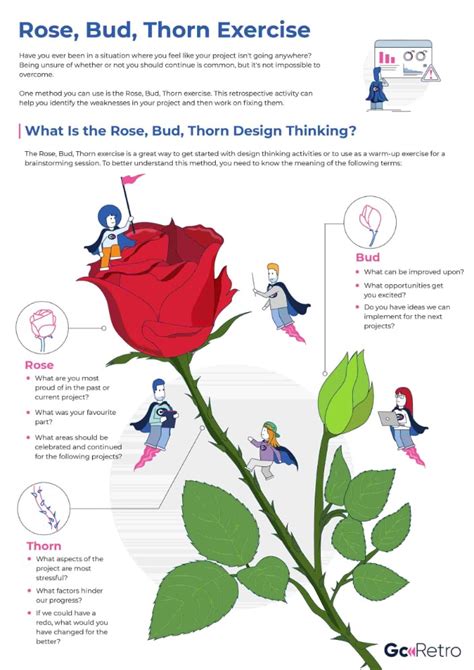 Rose Bud Thorn Exercise For Better Performance Infographic
